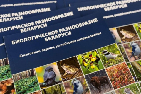 Конференция по ЦУР 15 прошла в г. Воложине